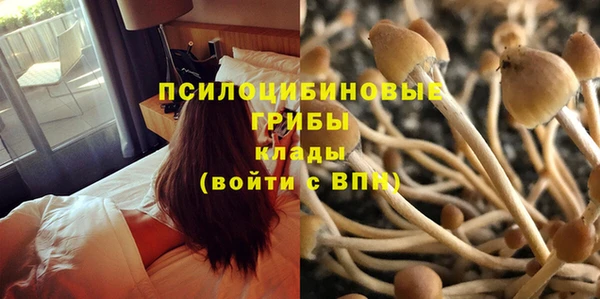 марки nbome Верхний Тагил
