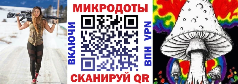 Галлюциногенные грибы Psilocybe  Курган 